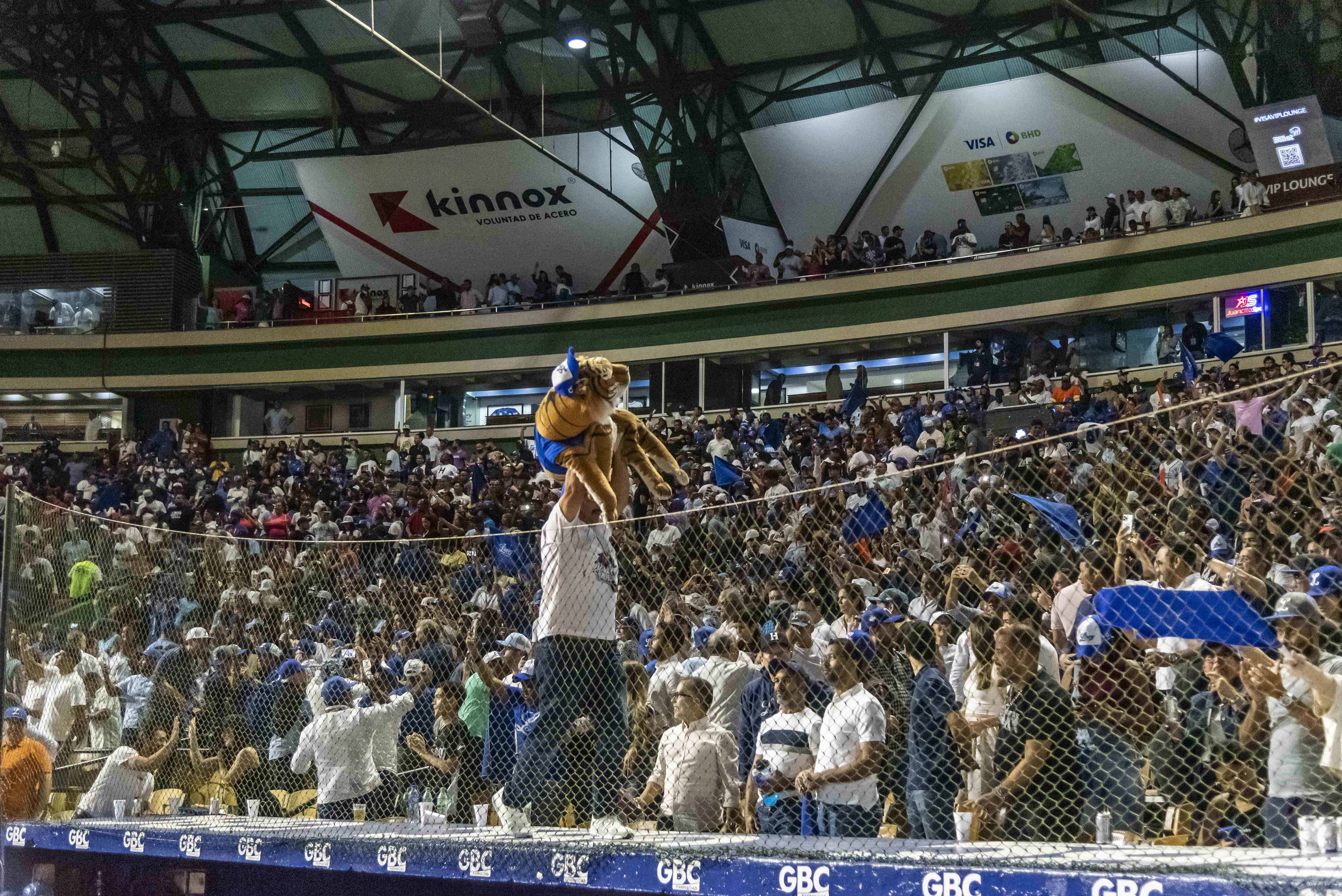 Fan del Licey celebra la victoria con un tigre de peluche