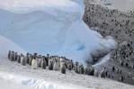 Descubren en la Antártida cuatro colonias de pingüinos emperador hasta ahora desconocidas