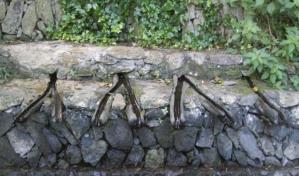 El agotamiento global de los acuíferos se acelera, alertan expertos