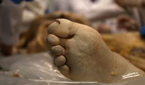 No vieron ni hablaron con su madre durante dos años, y cuando van a visitarla la encuentran muerta