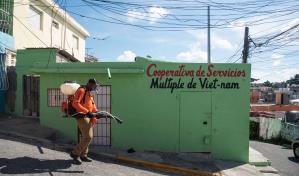 Pediatras actualizan plan de contingencia contra el dengue tras proyección de aumento en verano 2024