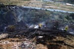 Colombia ha perdido 17,192 hectáreas de vegetación en incendios vinculados a El Niño Colombia ha perdido 17,192 hectáreas de vegetación en incendios vinculados a El Niño