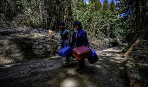 Este sol no picaba así antes: el fuego sorprende a los Andes colombianos