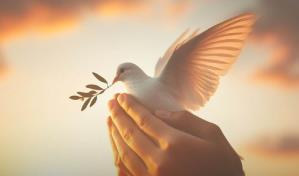 Efeméride de hoy: Día Escolar de la No Violencia y la Paz