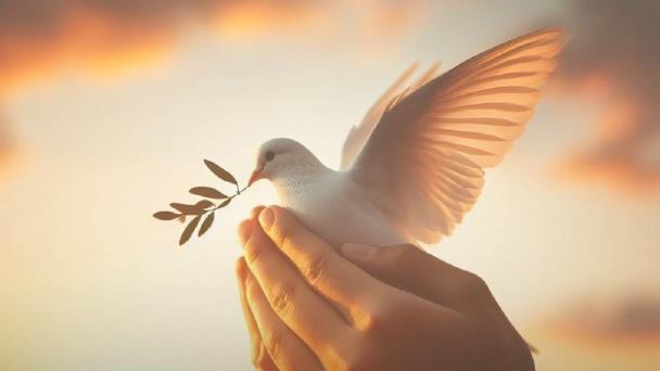 Efeméride de hoy: Día Escolar de la No Violencia y la Paz