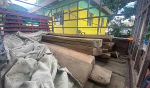 Apresan a hombre acusado de traficar con ébano verde en San José de Ocoa