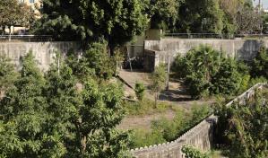 Domingo Contreras denuncia túnel de drenaje más importante de la capital está abandonado 