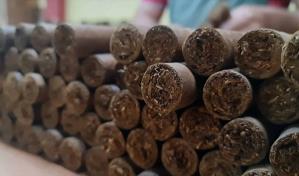 El secreto de los puros de Nicaragua