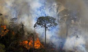 Brasil comienza 2024 con el mayor n&uacute;mero de incendios en la Amazon&iacute;a en ocho a&ntilde;os
