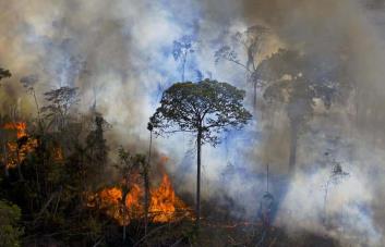 Brasil comienza 2024 con el mayor número de incendios en la Amazonía en ocho años