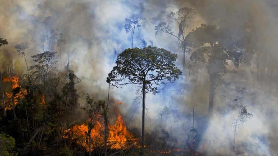 Brasil comienza 2024 con el mayor número de incendios en la Amazonía en ocho años