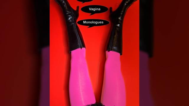 Lo sexual, lo humorístico y lo lingüístico en Los monólogos de la vagina