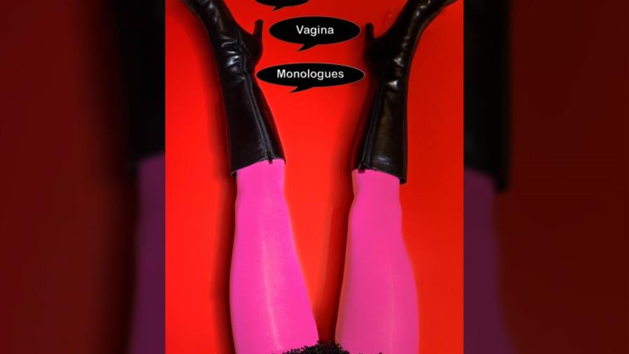 Lo sexual, lo humorístico y lo lingüístico en Los monólogos de la vagina