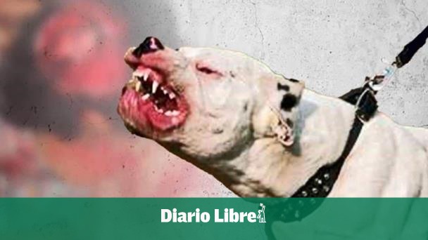 Perros matan bebé de 3 meses mientras padres fumaban marihuana