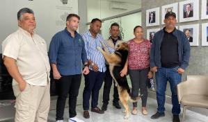 Denuncian maltrato y envenenamiento de perros en el Parque Central de Santiago