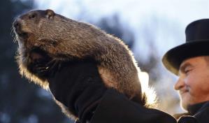 La famosa marmota estadounidense Phil pronostica una primavera temprana