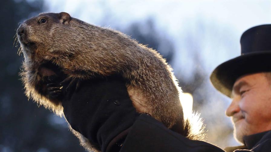 La famosa marmota estadounidense Phil pronostica una primavera temprana