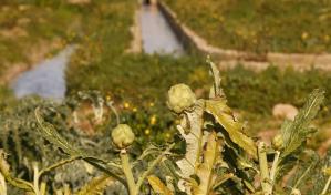 Seis millones de personas se adaptan al primer día de emergencia por sequía en Cataluña