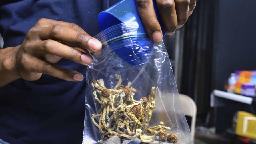 California podría permitir el consumo de hongos psicodélicos bajo supervisión