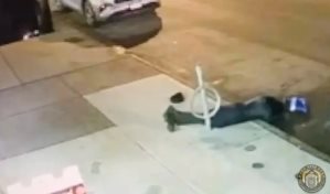 Arrestan a migrantes tras atracar a mujer en Nueva York a bordo de una pasola