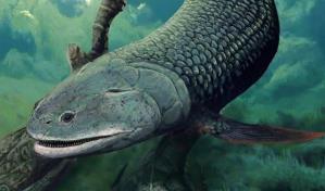 Un antiguo pez australiano respiraba aire hace 380 millones de años Un antiguo pez australiano respiraba aire hace 380 millones de años
