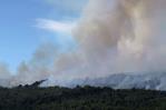 Fuego arrasa m&aacute;s de 3.000 hect&aacute;reas de bosque nativo en Patagonia argentina