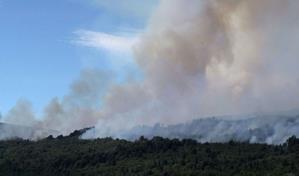 Fuego arrasa más de 3.000 hectáreas de bosque nativo en Patagonia argentina