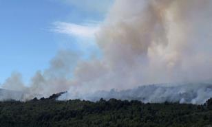 Ascienden a 3,250 las hect&aacute;reas afectadas por incendios en la Patagonia de Argentina