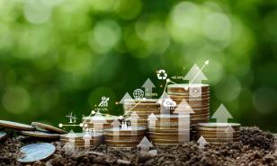 Impuestos Ecol&oacute;gicos: poca presencia en el Sistema Tributario Dominicano
