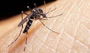 Brasil empieza a vacunar a los niños contra el dengue en pleno brote de la enfermedad