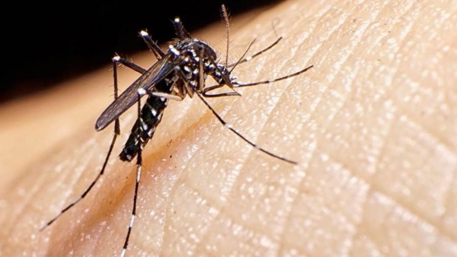Brasil empieza a vacunar a los niños contra el dengue en pleno brote de la enfermedad