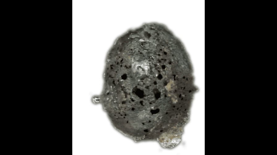 Hallan en Italia un micrometeorito con “cuasicristales”, uno de los más raros del mundo