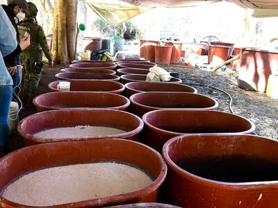 Sudáfrica arrestó 4 mexicanos desmantelar laboratorio metanfetaminas