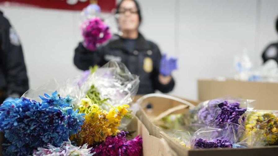 460 millones de flores sudamericanas llegan a EE.UU. y Canadá para San Valentín
