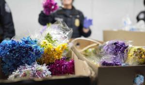 460 millones de flores sudamericanas llegan a EEUU y Canad&aacute; para San Valent&iacute;n
