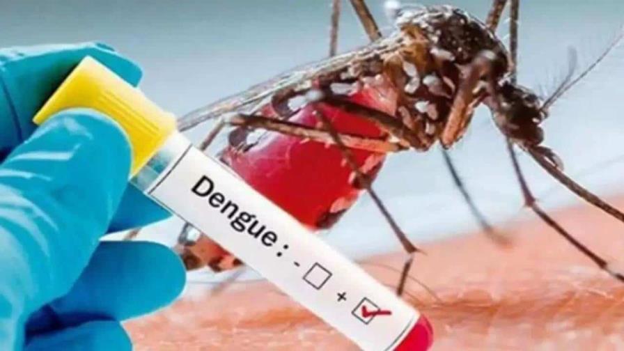 Brasil alcanza más de 500 mil casos de dengue en menos de dos meses