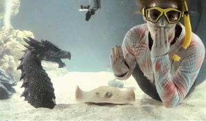 Charlotte, una raya sin compa&ntilde;ero var&oacute;n, est&aacute; embarazada en su acuario