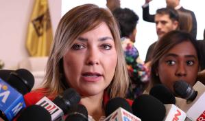 Observadores de la OEA y Uniore instan a la población a votar este domingo de manera pacífica