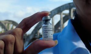 Brasil evaluará la eficacia de la vacuna japonesa contra el dengue en 20,000 adultos