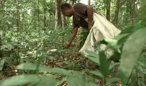 La autogobernanza de los indígenas de la Amazonia, un antídoto contra el cambio climático