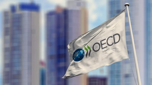 La OCDE considera que el ajuste macroeconómico en Argentina va muy bien