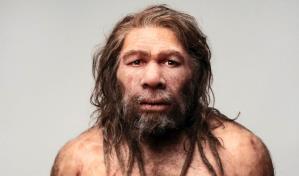 Investigadores descubren que los neandertales usaban pegamento para fabricar herramientas