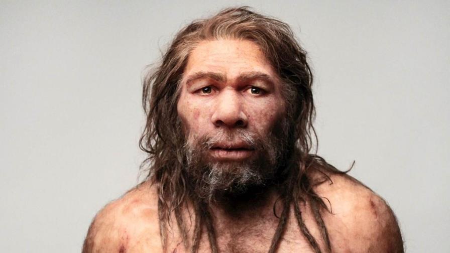 Investigadores descubren que los neandertales usaban pegamento para fabricar herramientas