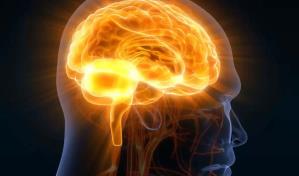 ¿Sabes que es la encefalitis?