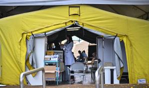 Con más de 700,000 casos en dos meses, Brasil combate el dengue puerta por puerta