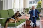 El perro de Biden, ha mordido a más de 20 de agentes del servicio secreto El perro de Biden, ha mordido a más de 20 de agentes del servicio secreto