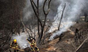 Estudio: El cambio climático no fue determinante en los incendios en Chile