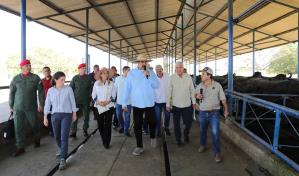 El colapso de una mina ilegal en Venezuela en tres claves