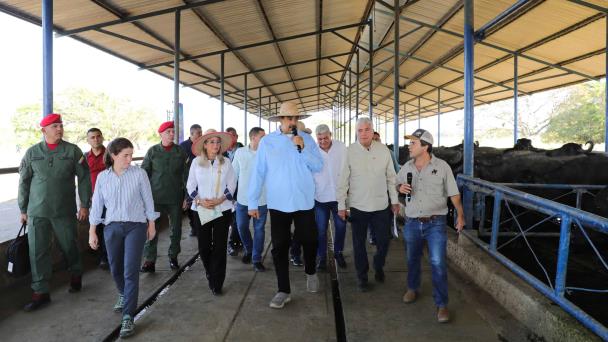 El colapso de una mina ilegal en Venezuela en tres claves