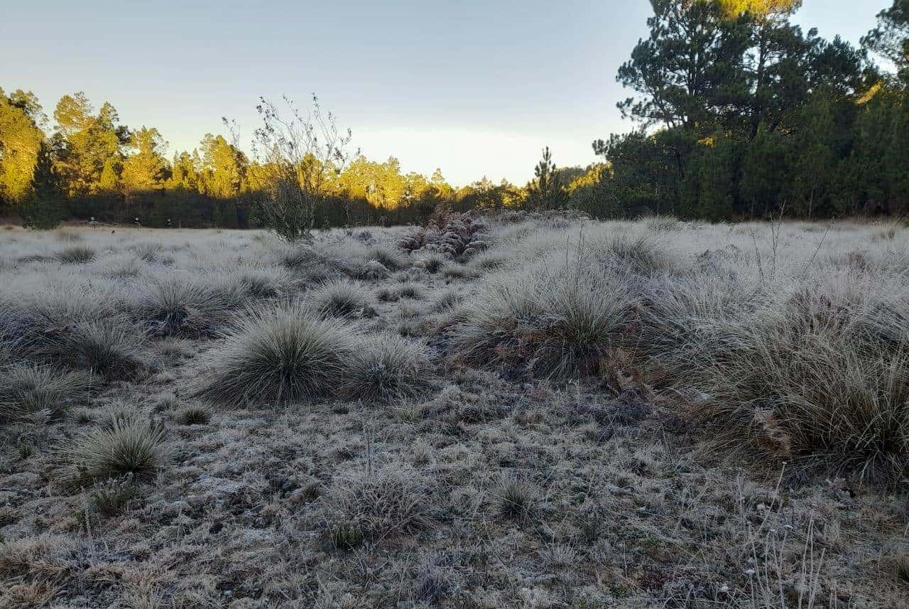 Temperaturas este viernes en Valle Nuevo